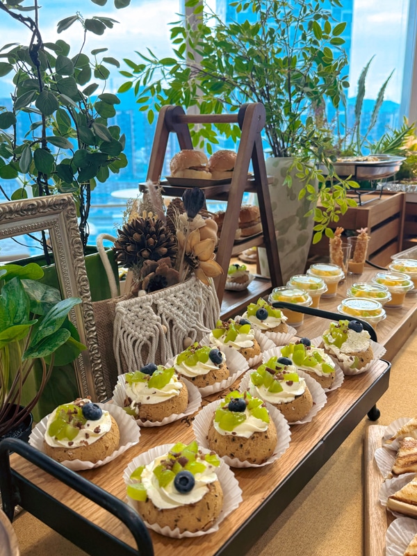 生日会6